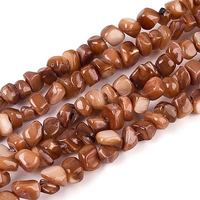 Natural Freshwater Shell Beads Strands SHEL-N037-04C-1