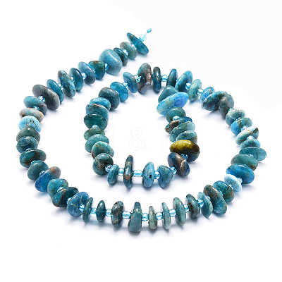 Natural Apatite Beads  Strands G-E569-J01-1