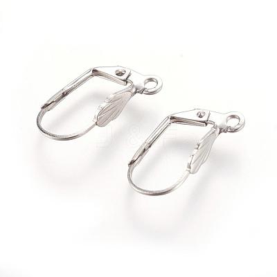 Tarnish Resistant 304 Stainless Steel Leverback Earring Findings X-STAS-E007-5-1