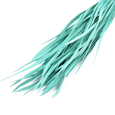 Goose Feather Costume Accessories FIND-T037-09C-1