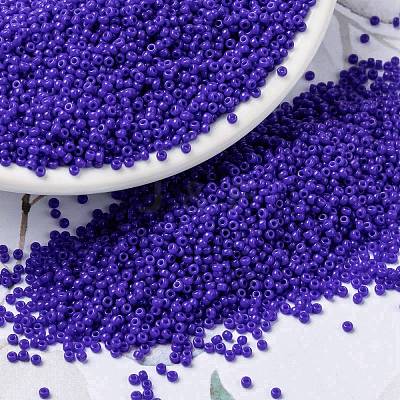 MIYUKI Round Rocailles Beads X-SEED-G009-RR0417-1