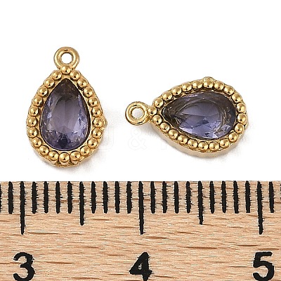 Ion Plating(IP) 304 Stainless Steel Micro Pave Cubic Zirconia Charms STAS-K256-20G-02-1