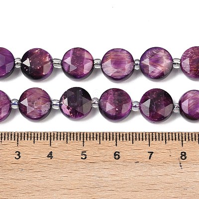Natural Tiger Eye Beads Strands G-F812-C09-01D-1