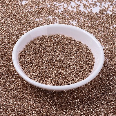 MIYUKI Round Rocailles Beads X-SEED-G007-RR1072-1