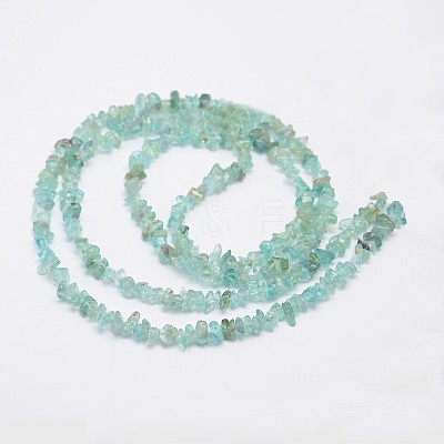 Chips Natural Apatite Beads Strands X-G-N0164-44-1