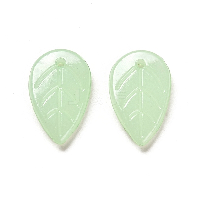 Translucent Acrylic Pendants OACR-Z016-10A-1