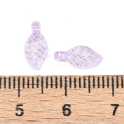 Transparent Acrylic Charms OACR-G054-02F-1
