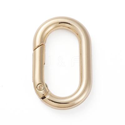 Electroplated Alloy Keychain Clasps PALLOY-G260-01G-1