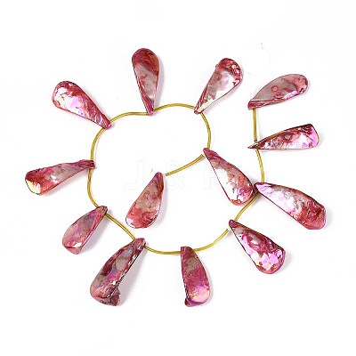 AB Color Plated Dyed Natural Freshwater Shell Beads Strands SHEL-T020-55G-1