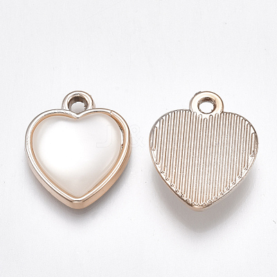 UV Plating Acrylic Pendants OACR-T005-65KC-1