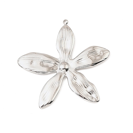 304 Stainless Steel Pendants STAS-Z199-12P-06-1