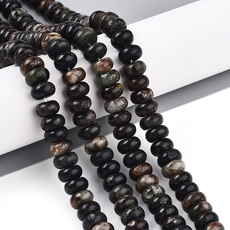 Natural Biotite Beads Strands G-T140-69A-1