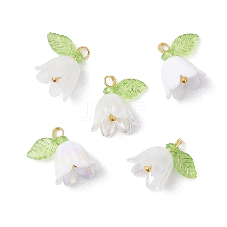 5Pcs Transparent Acrylic Pendants PALLOY-JF04703-01-1