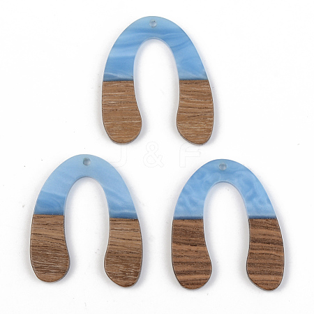 Opaque Resin & Walnut Wood Pendants RESI-S389-058A-C01-1