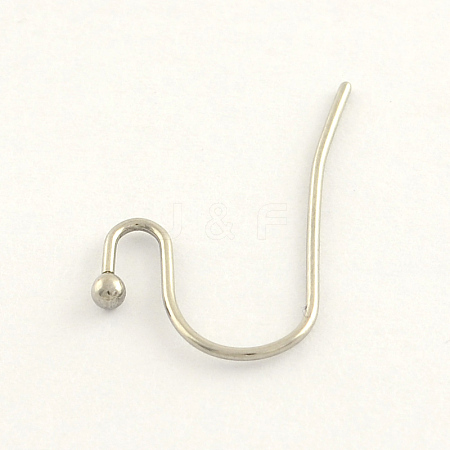 Tarnish Resistant 304 Stainless Steel Earring Hooks STAS-R063-34-1