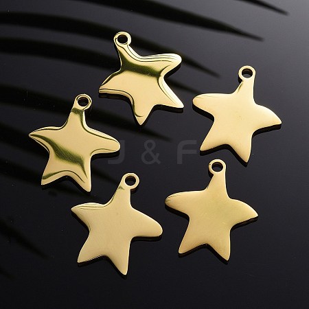 304 Stainless Steel Pendants LS-STAS-I140-13G-1