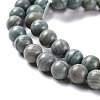 Natural Silver Line Jasper Beads Strands G-P451-02B-E-4