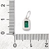 925 Sterling Silver Cubic Zirconia Charms STER-NH0014-01P-05-3