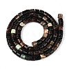 Natural Biotite Beads Strands G-T141-88B-2