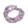 Natural Amethyst Beads Strands G-O173-010B-01-3