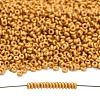 TOHO 6/0 Demi Round Beads Y-SEED-DR06-PF557F-1