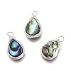 Natural Abalone Shell/Paua Shell Pendants X-PALLOY-JF00477-02-1
