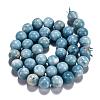 Natural Gemstone Beads Strands G-L367-01-12mm-6