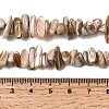 Natural Freshwater Shell Beads Strands X-SHEL-A006-05-4