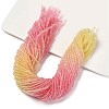 Transparent Painted Glass Beads Strands X1-DGLA-A034-T1mm-A09-1