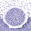 FGB Baking Paint Glass Seed Beads SEED-Q040-09A-15-2