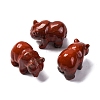 Natural Red Jasper Display Decorations DJEW-P019-C06-1