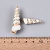 Electroplated Natural Shell Pendants BSHE-Q020-06-4