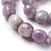 Natural Kunzite Beads Strands G-K331-005D-4