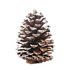 Wood Artificial Pine Cone HULI-PW0002-034B-1