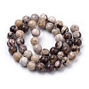 Natural Zebra Jasper Beads Strands X-G-S259-30-6mm-2