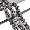 Natural Syenite Beads Strands G-D091-A32-1
