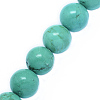 Natural Magnesite Beads Strands G-P324-07-8mm-1