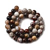 Natural Mexico Crazy Agate Beads Strands X-G-L615-A01-02-9