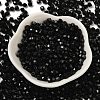 Baking Painted Glass Seed Beads SEED-C004-01L-2