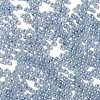 Glass Seed Beads X1-SEED-H002-E-A1415-3