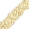 Transparent Glass Beads Strands EGLA-N028-01A-A09-2