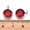 K9 Glass Charms GLAA-T023-37B-03-3