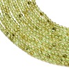 Natural Peridot Beads Strands G-A322-A07-2mm-3