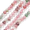 Natural Red & Green Strawberry Quartz Beads Strands G-C179-A28-01-2