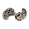 Natural Dalmatian Jasper Pendants G-S294-07B-13-2