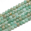 Natural Russia Amazonite Beads Strands X-G-S300-13-3mm-1