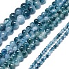 Natural Malaysia Jade Beads Strands G-L645-C01-14mm-24-2
