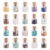 Natural & Synthetic Gemstone Chip Beads Glass Bottles G-KS0001-02-1