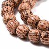 Natural Coconut Wood Beads Strands COCB-P002-08-3