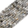 Natural Labradorite Beads Strands G-D358-A01-2